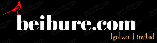 beibure.com
