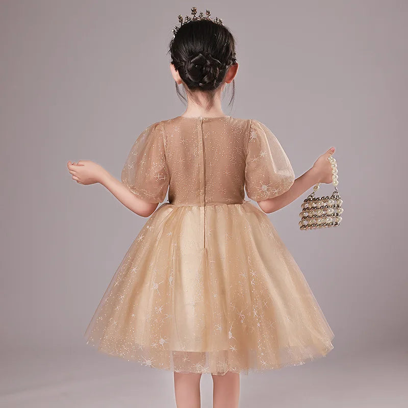 Elegant Princess Summer Children Evening Party Kids Dresses for Girls Wedding Dress Vestidos