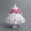 Girls Long Sleeve Flower Dress Kids Lace Dresses for Girls Children Autumn Winter Princess Party Costume Kids Casual Style Cloth