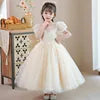 Elegant Princess Lace Dress Kids Flower Embroidery Dresses for Girls Vintage Children Dresses for Christmas Party Red Ball Gown
